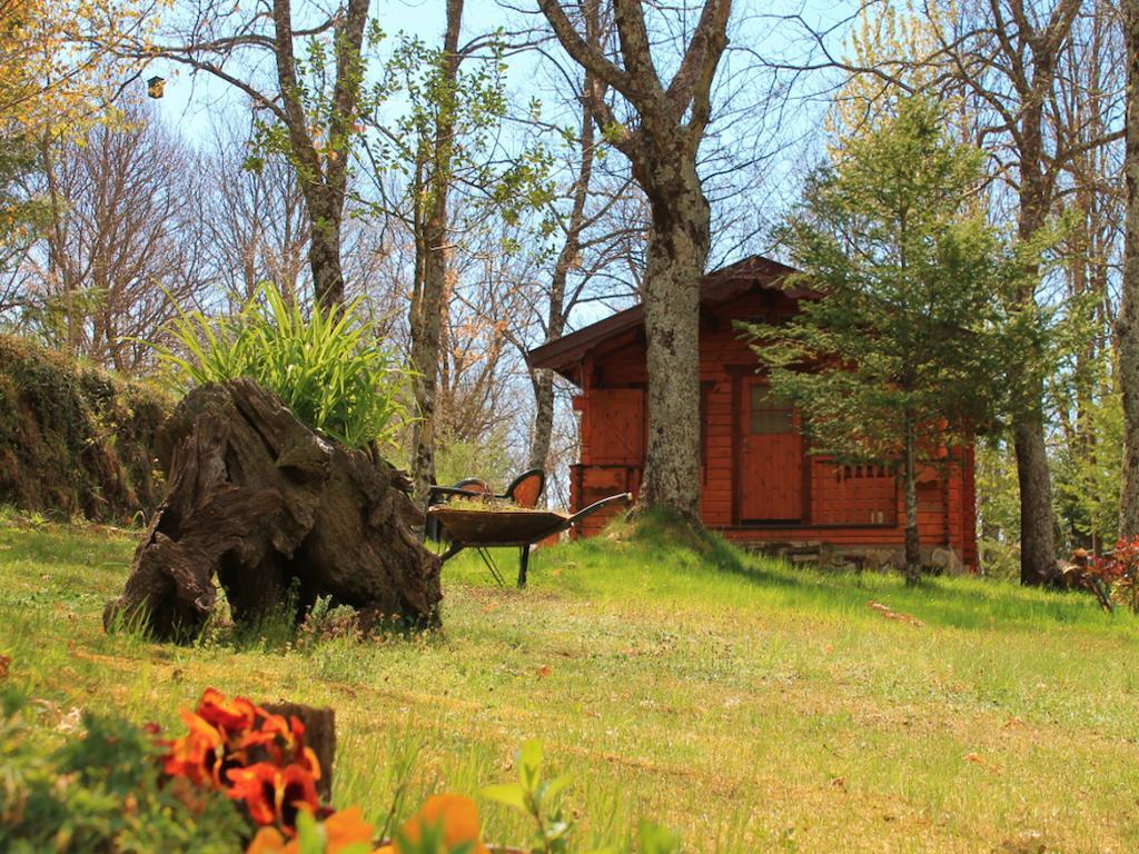 De Madera Sanabria Country house *