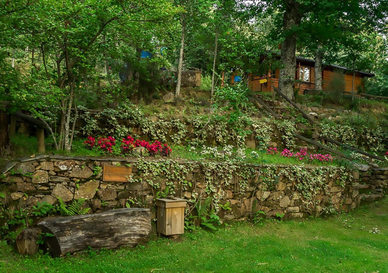 De Madera Sanabria Country house Vigo de Sanabria